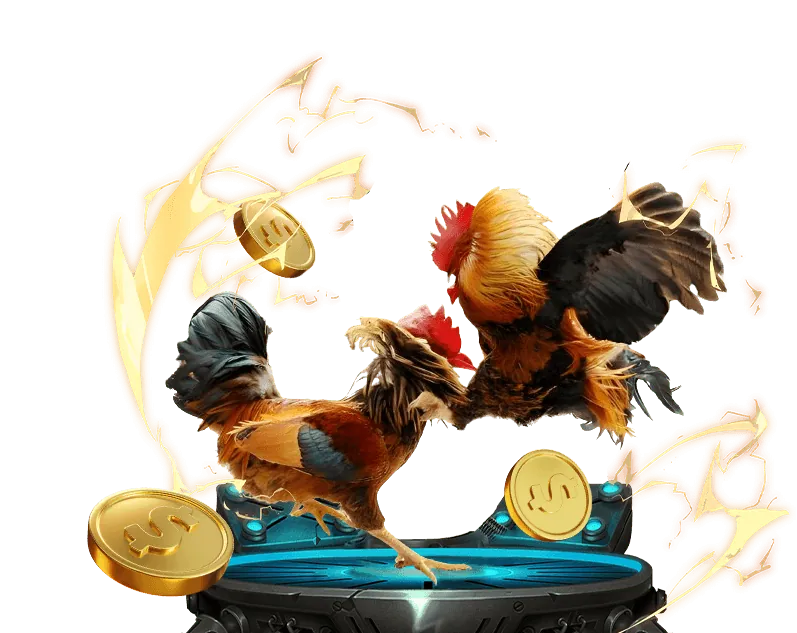 Sòng bạc trực tiếp FLY88